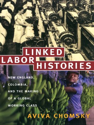 cover image of Linked Labor Histories